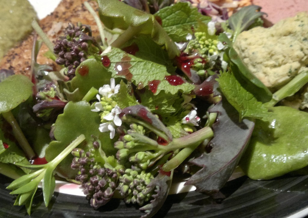 4 Ways to Use Elderberry Wine Vinegar