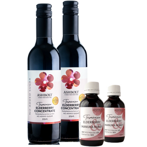 Elderberry Natural Support Pack